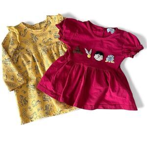 Disney Baby Girls Winnie the Pooh and Harry Potter Dresses 18 months